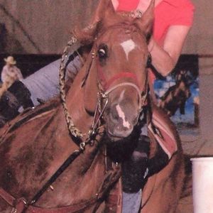 Meet your Posher, Carol